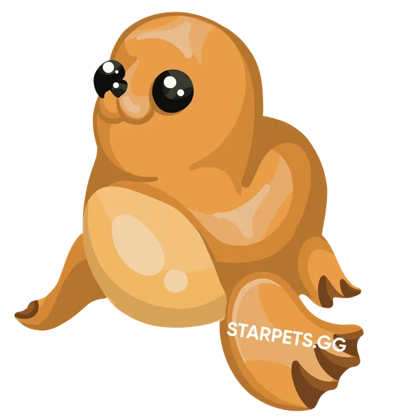Galapagos Sea Lion