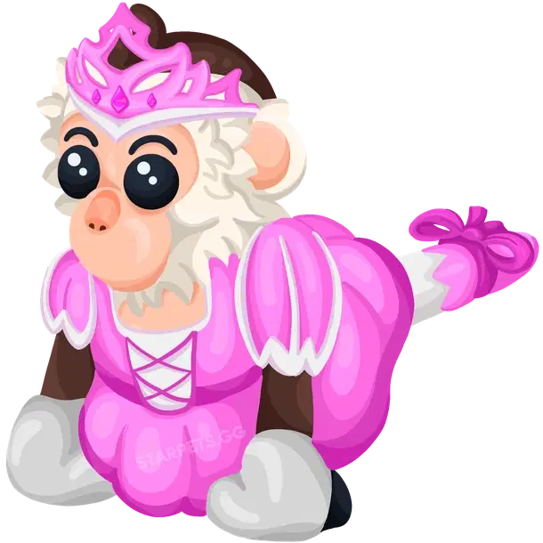 Princess Capuchin Monkey