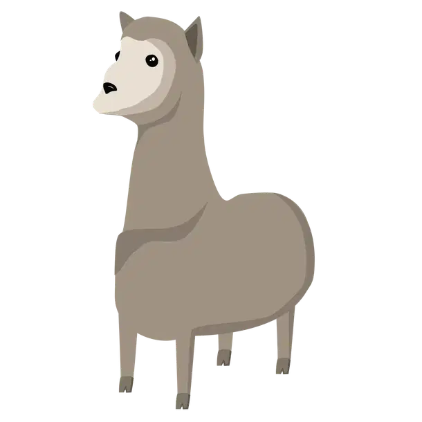 Llama