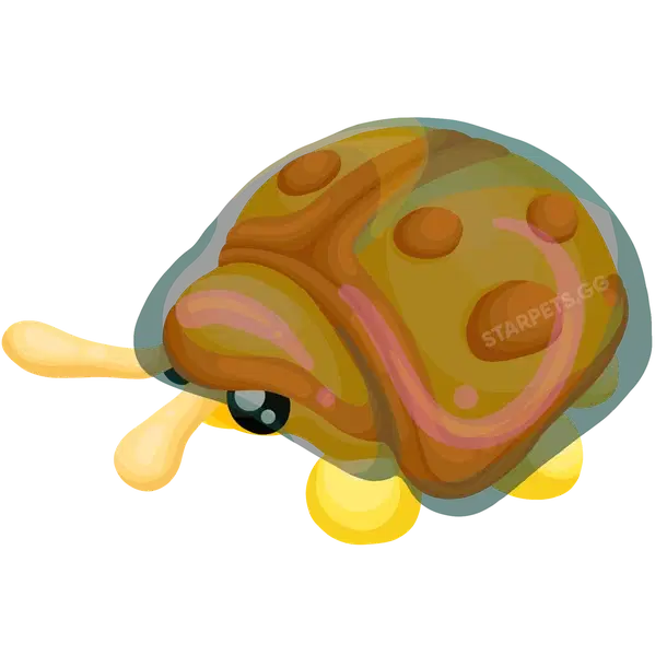 Golden Tortoise Beetle