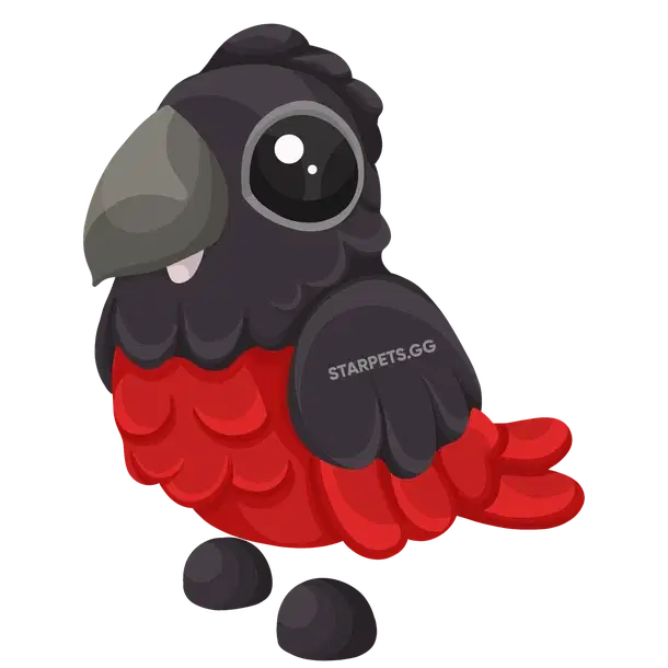 Dracula Parrot