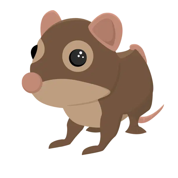 Shrew