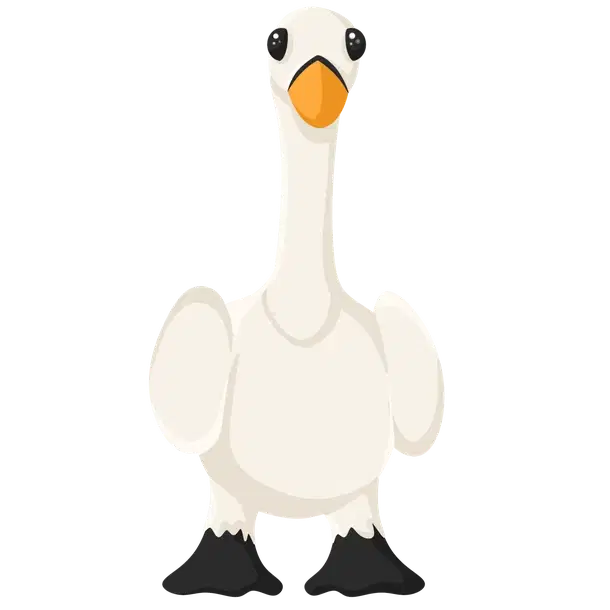 Swan