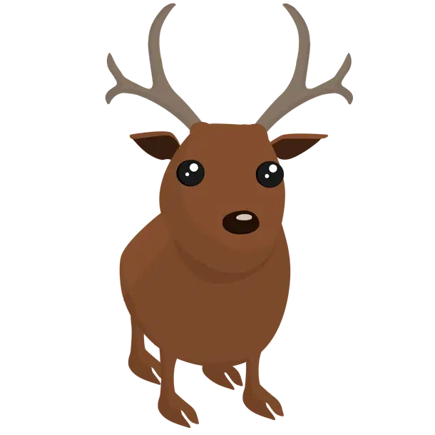 Reindeer