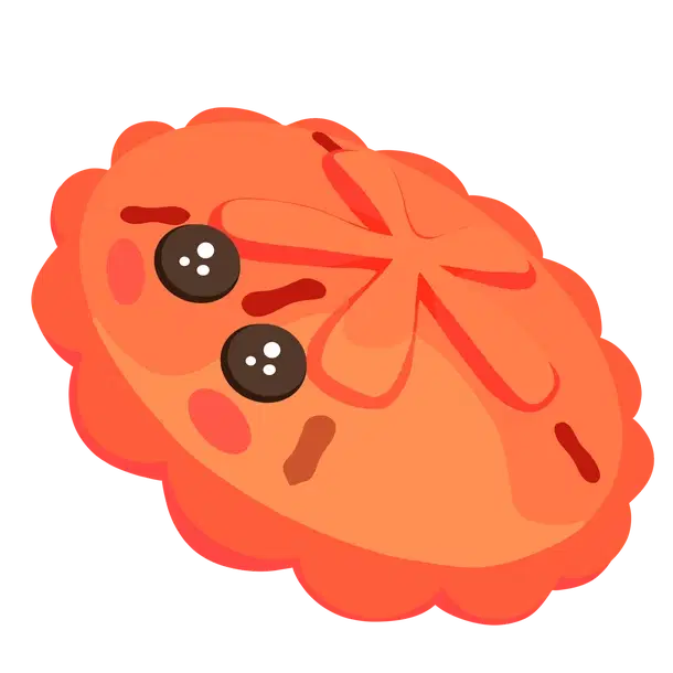 Red Sand Dollar