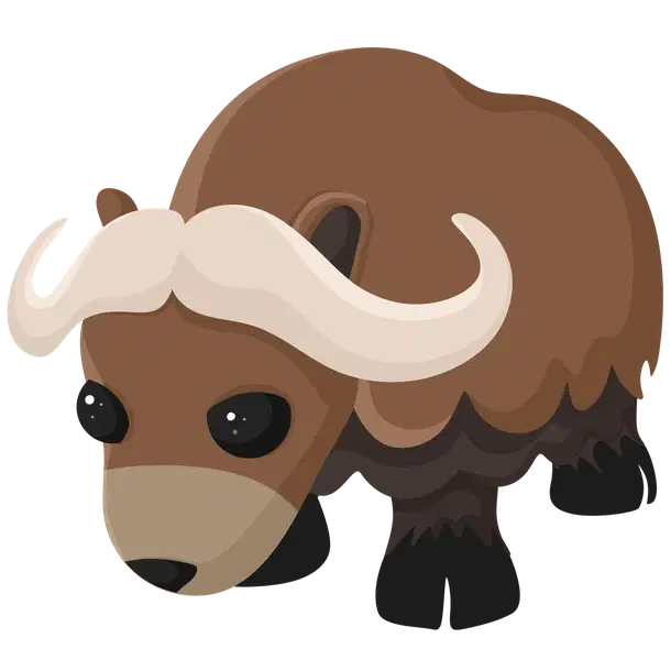 Musk Ox