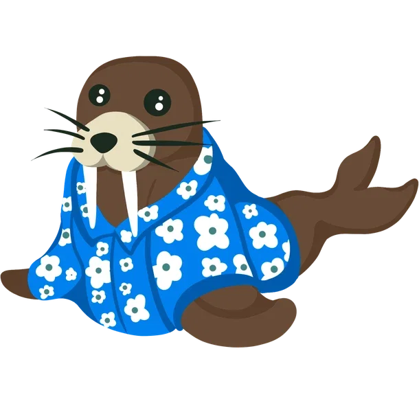 Summer Walrus