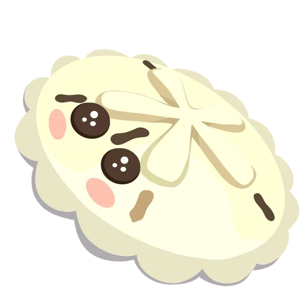 White Sand Dollar