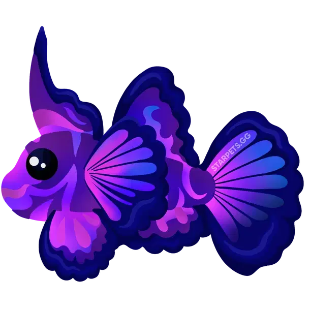 Singularity Pisces