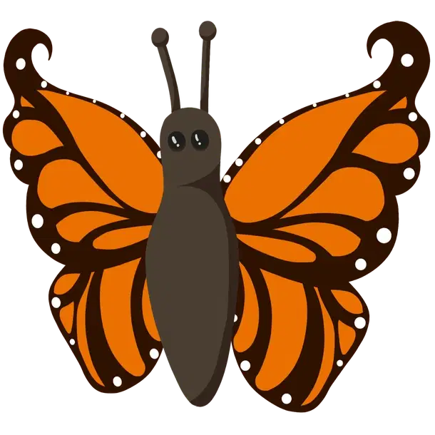 Orange Butterfly