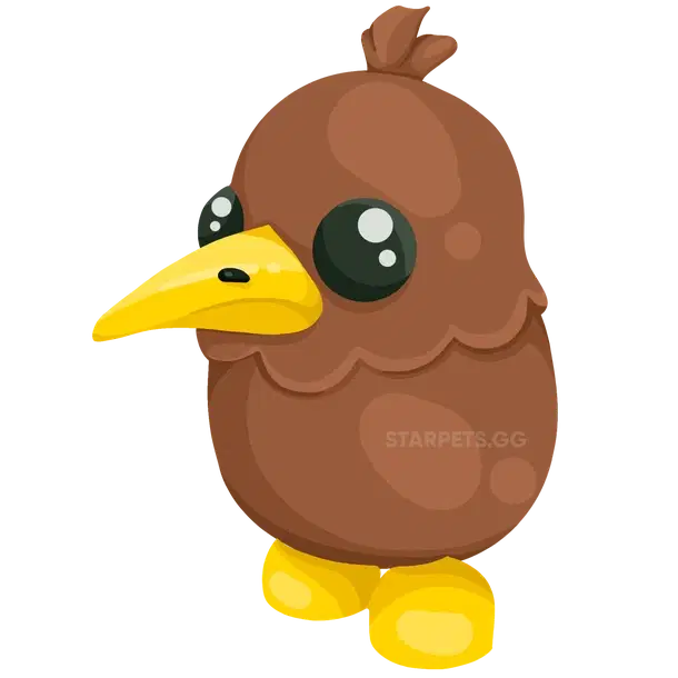Kiwi