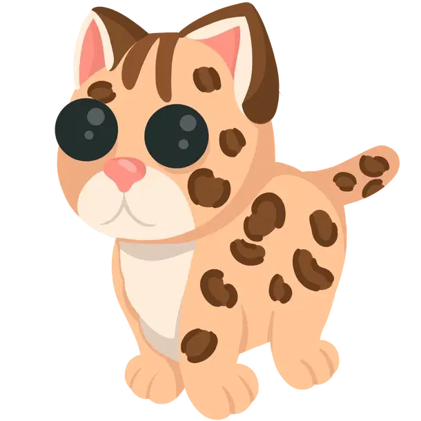 Leopard Cat
