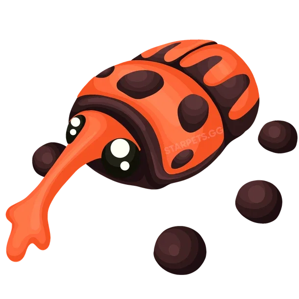 Weevil