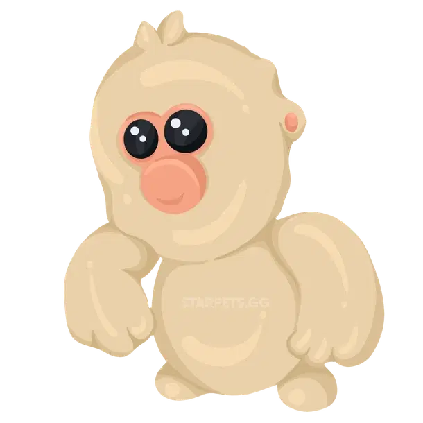 Snow Monkey