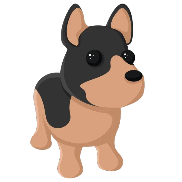 Australian Kelpie