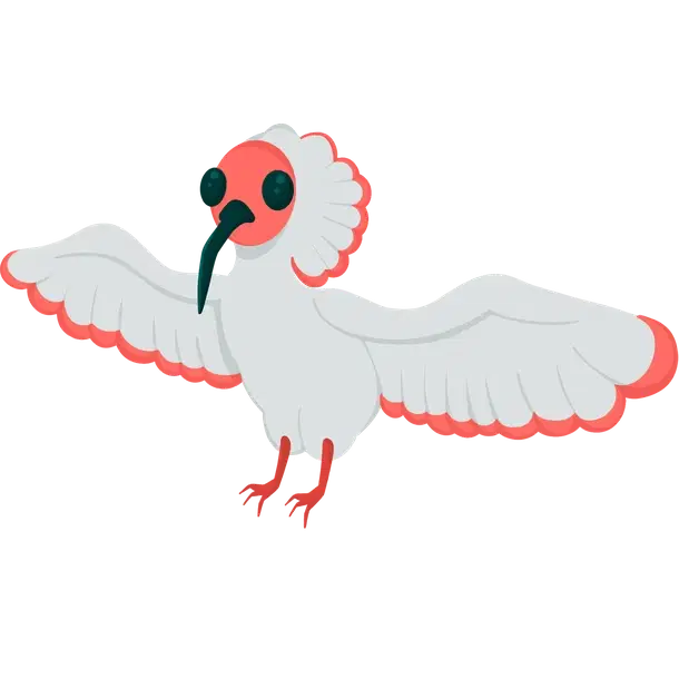 Ibis
