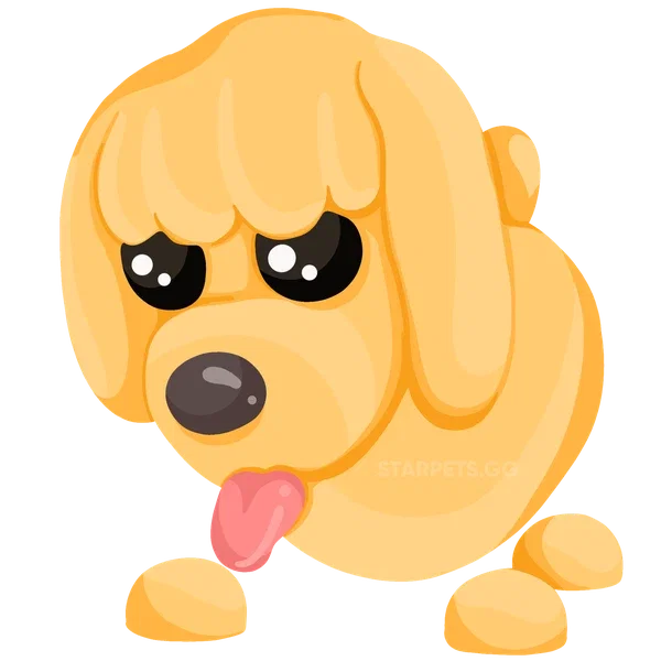 Toy Poodle