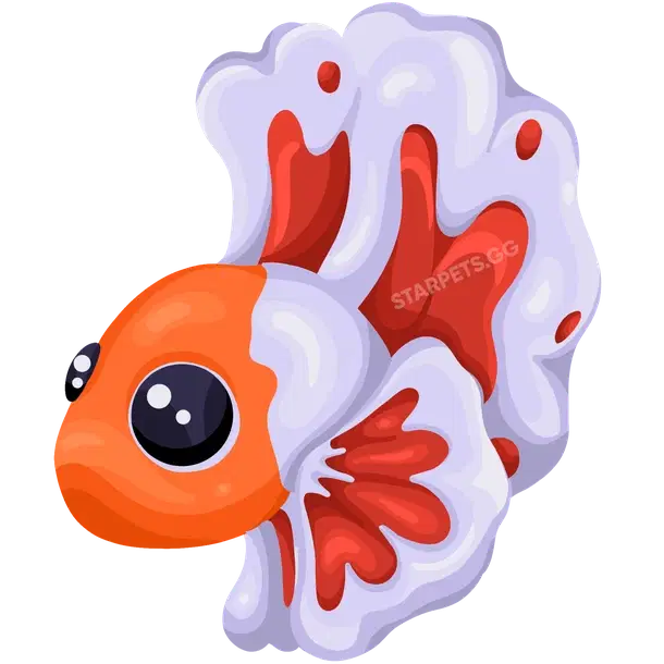 Orange Betta Fish