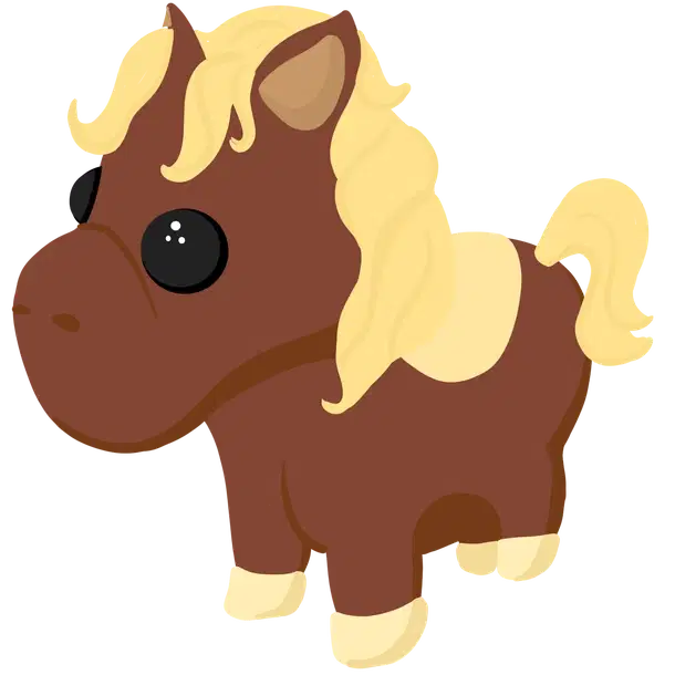 Shetland Pony Dark Brown