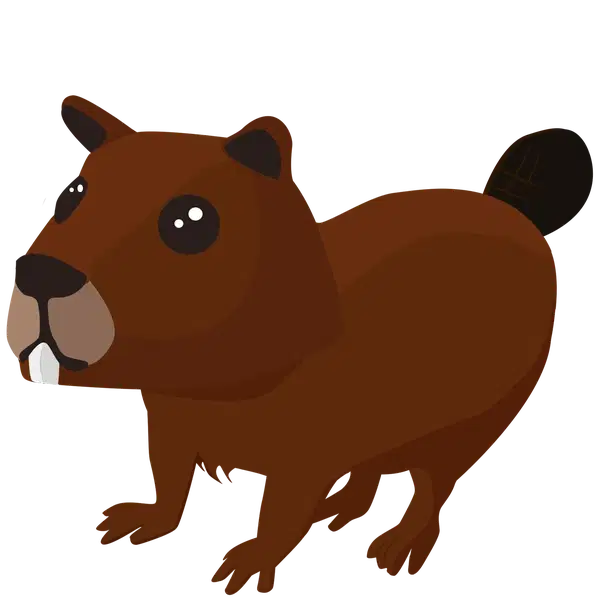 Beaver