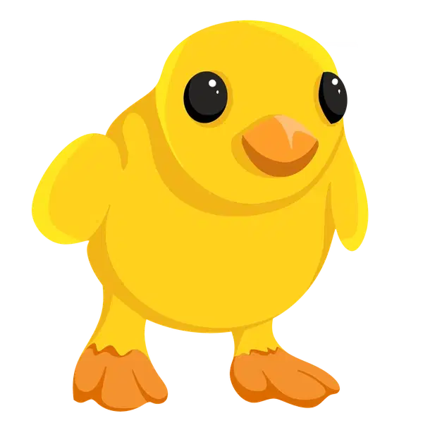Chick