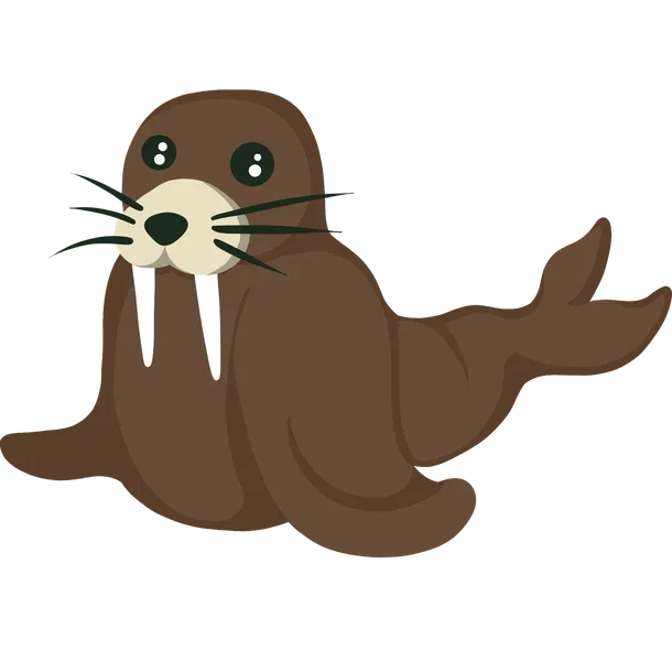 Walrus