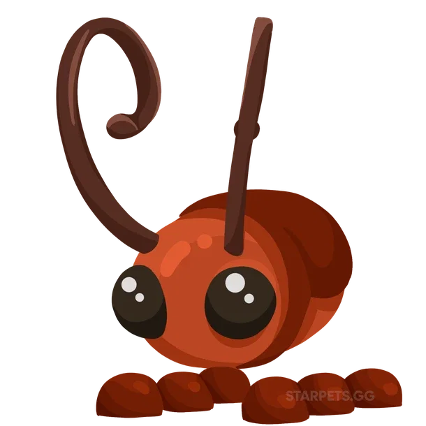 Cockroach