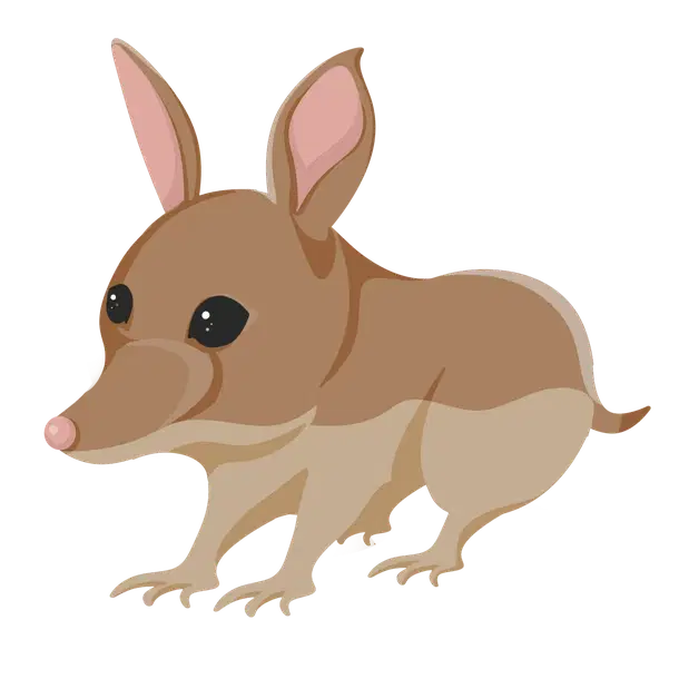 Bandicoot