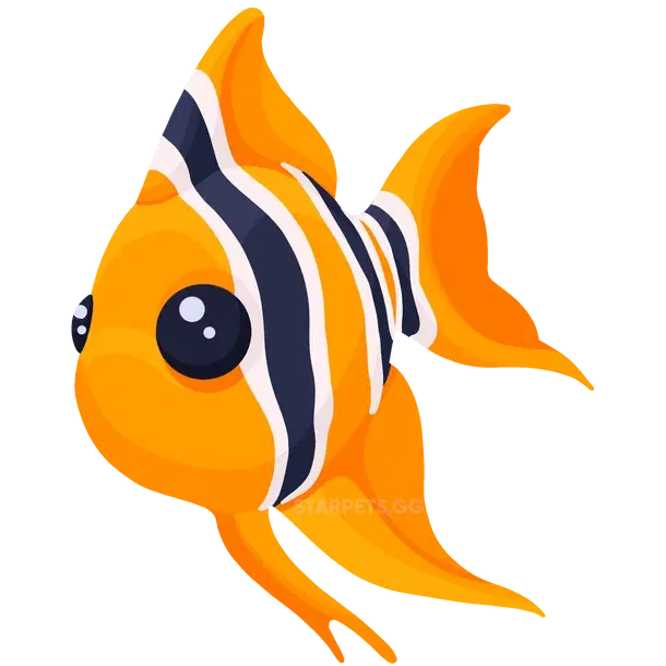 Angelfish