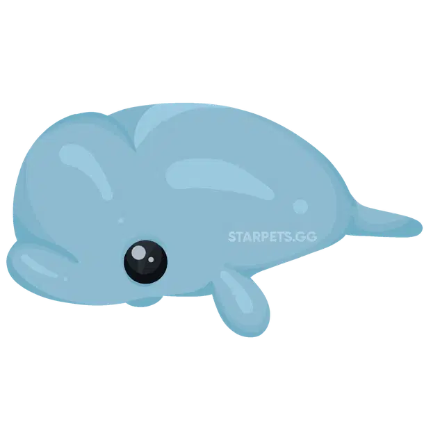 Beluga Whale