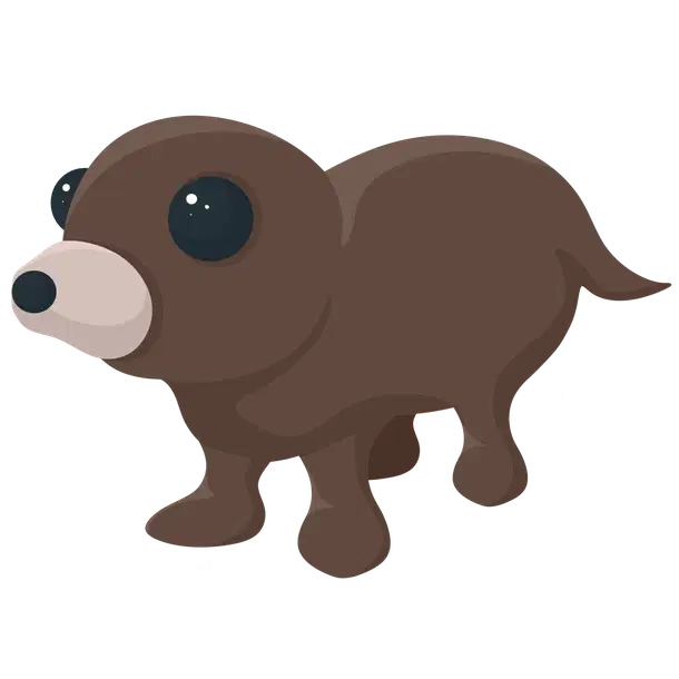 Otter