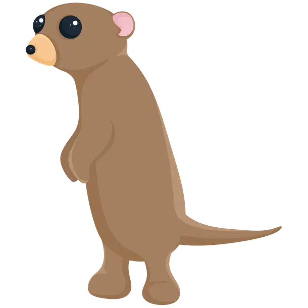 Meerkat