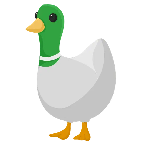 Silly Duck