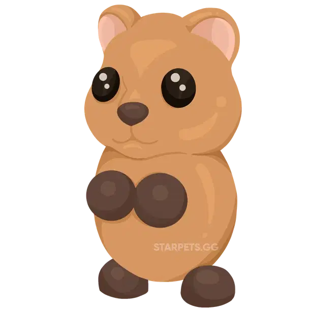 Quokka