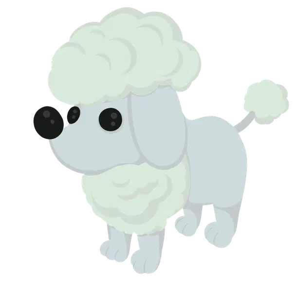 Poodle