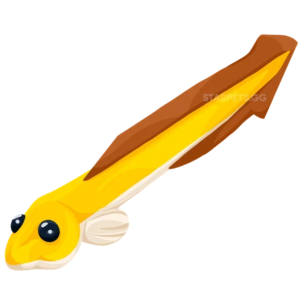 Eel