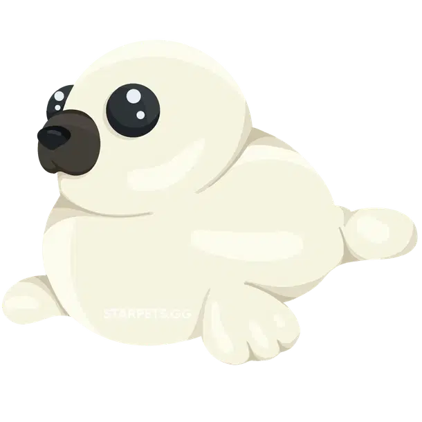Harp Seal