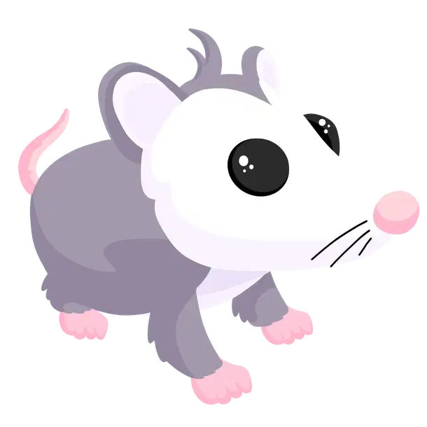 Possum
