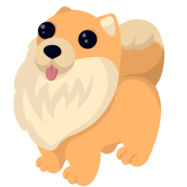 Pomeranian