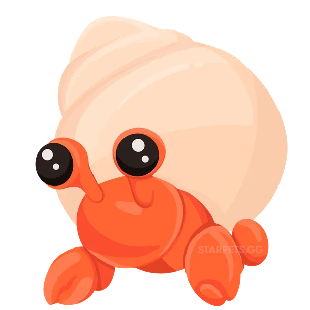 Hermit Crab