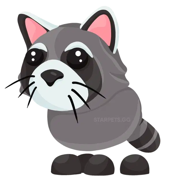 Raccoon