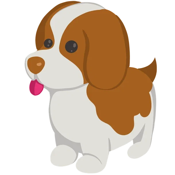 Brown Springer Spaniel
