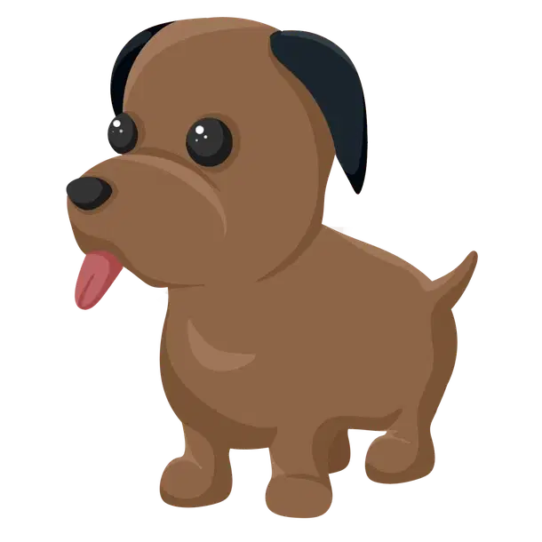 Chocolate Labrador