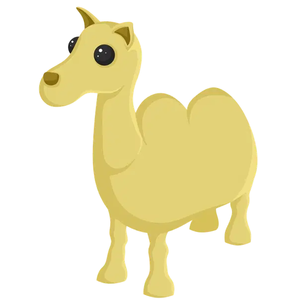 Camel