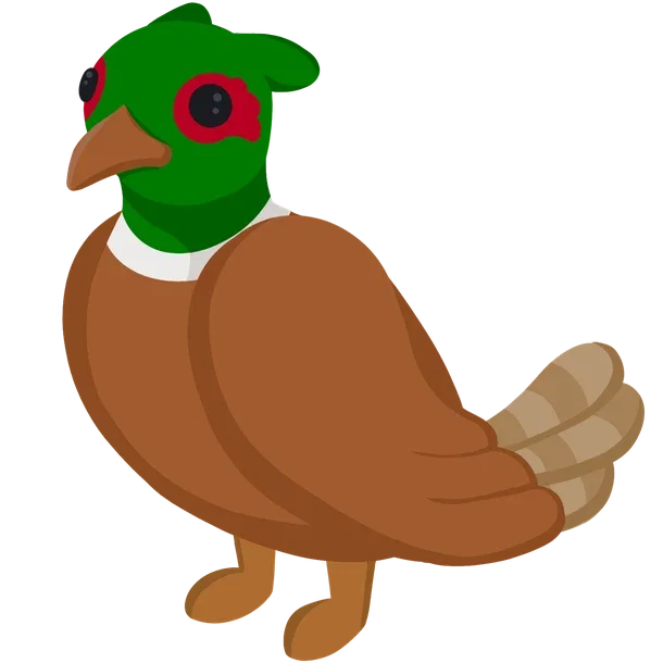 Brown-Chested Pheasant