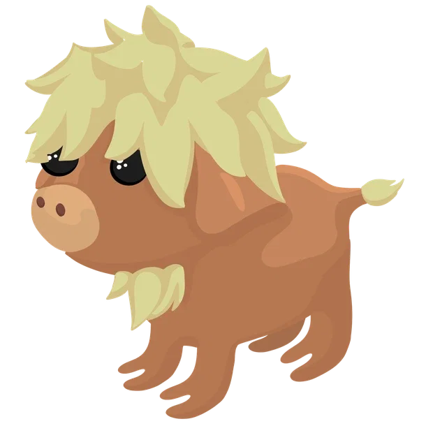 Highland Cow