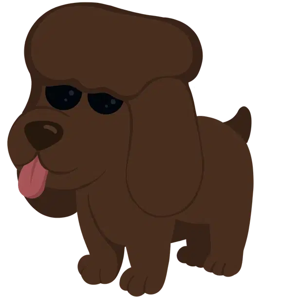 Irish Water Spaniel