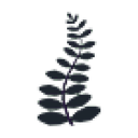 Black Fern