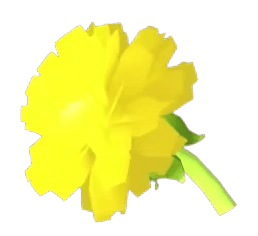 Golden Dandelion