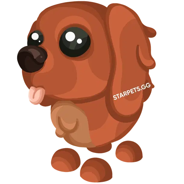 Irish Setter